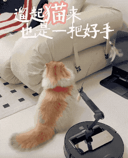 贵妇的“扫地茅”争当下一个小米j9九游会(中国)网站征服全球(图15)